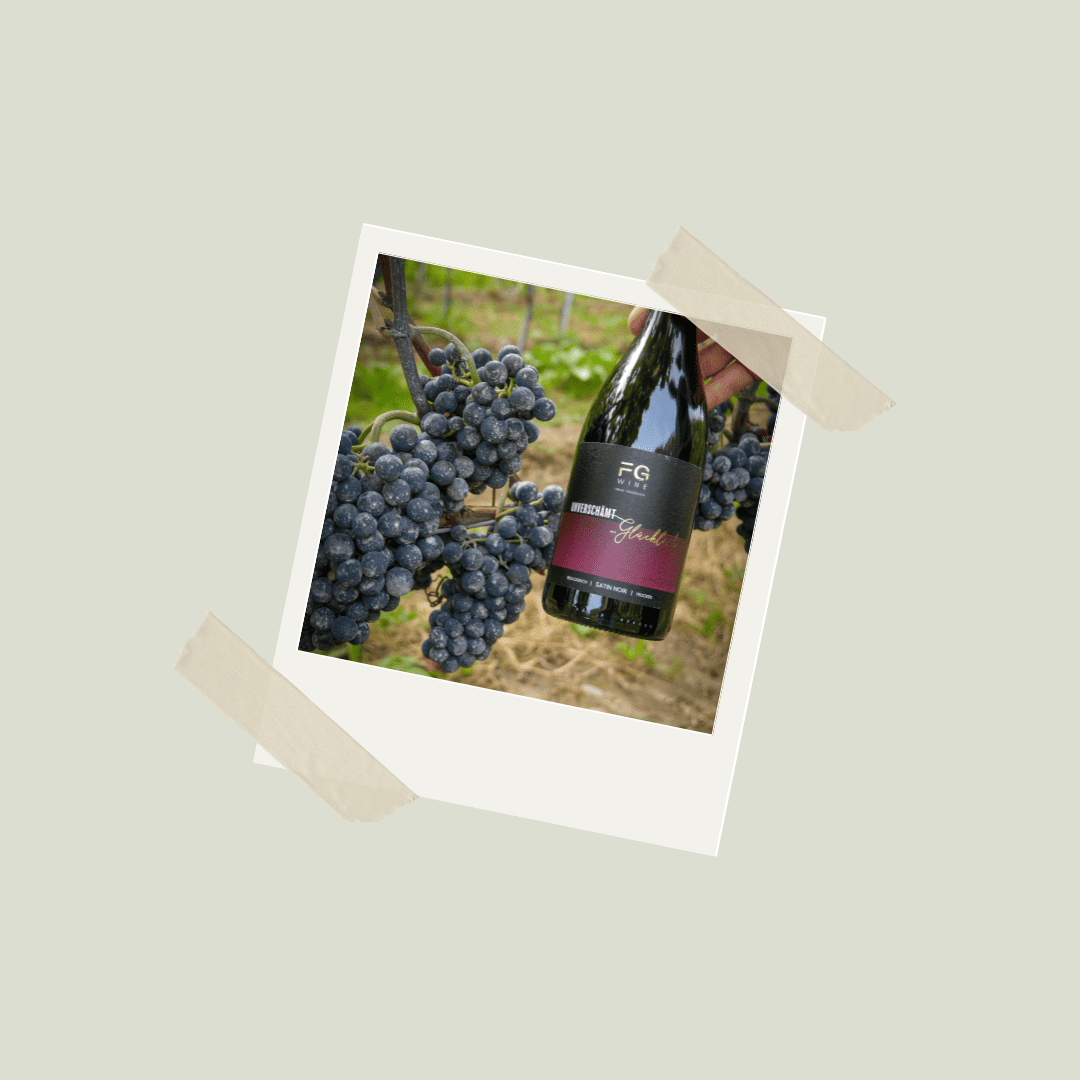 Bodensee Wein, Bio Weingut, Biowein, Bodenseewein, Bio Wein, Rotwein vom Bodensee