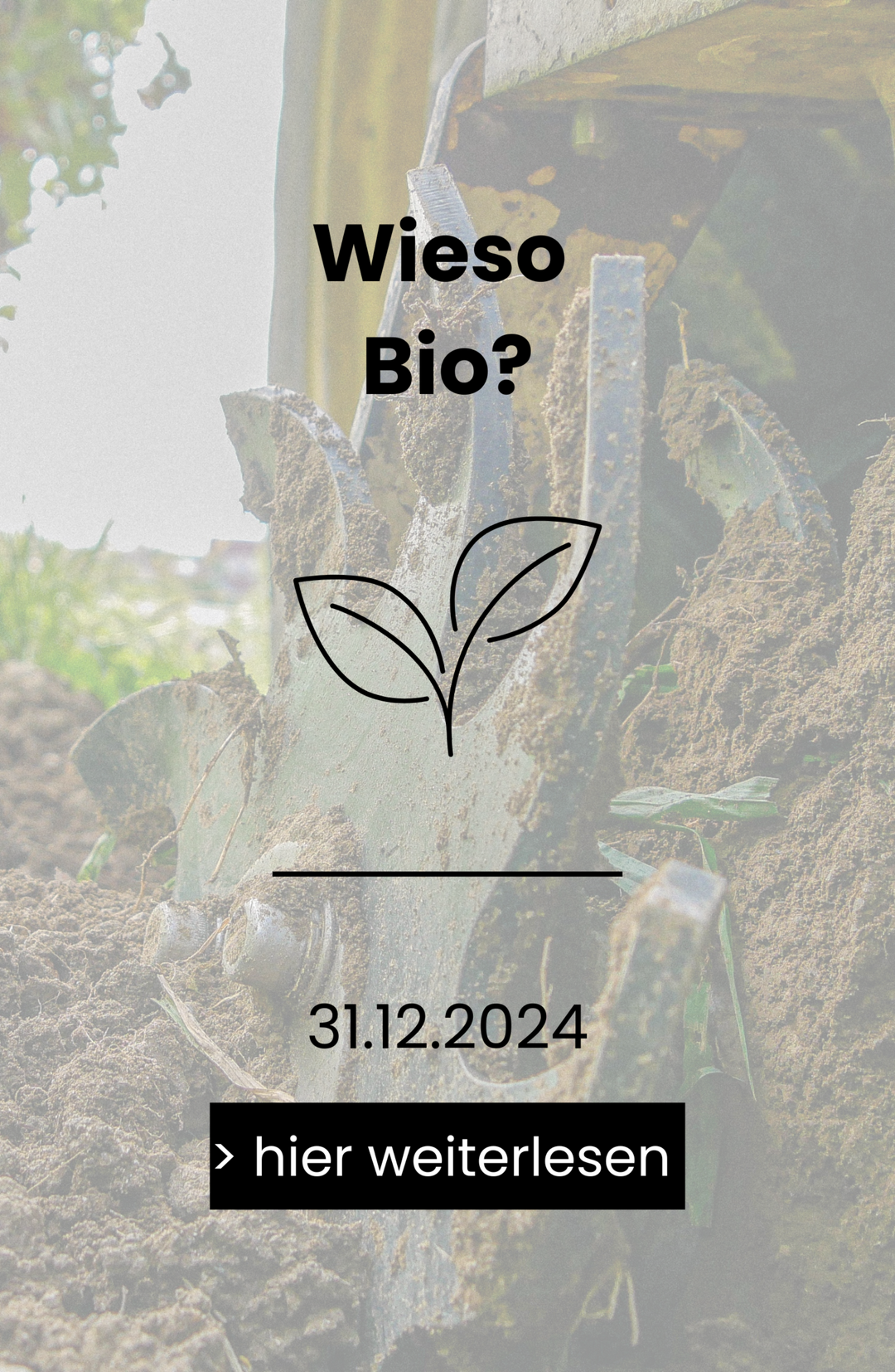 Wieso ist Bio Landwirtschaft im Weinbau so wichtig?