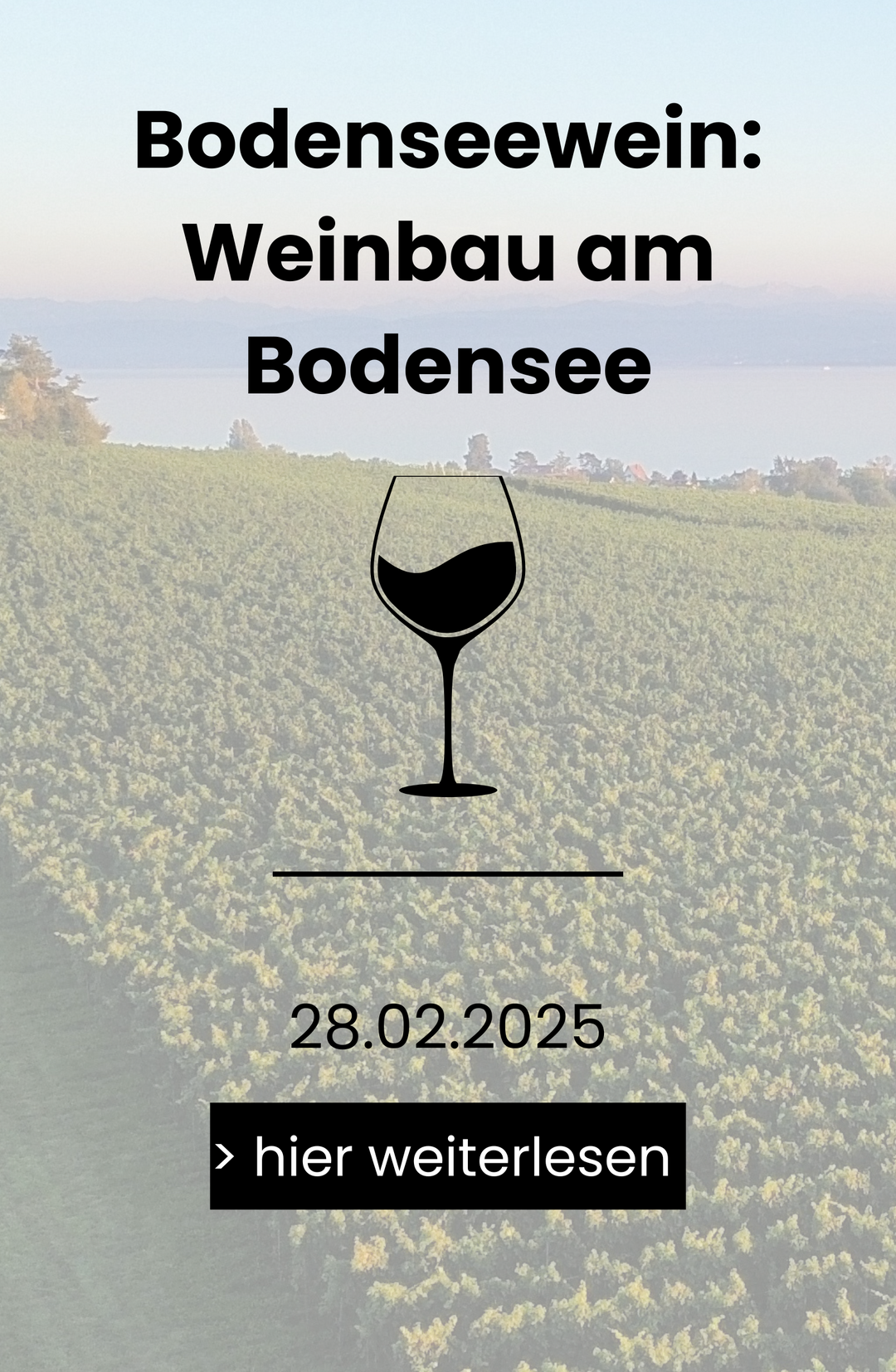 Bodensee Wein