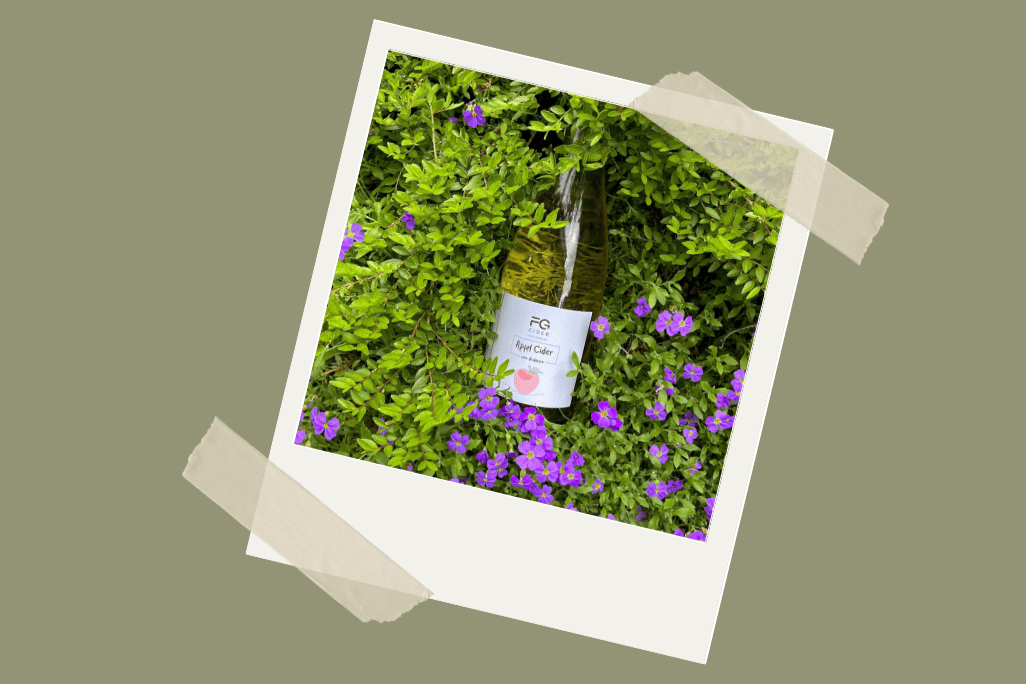 Bodenseewein, Weinbau am Bodensee, Wein vom Bodensee, Apfel Cider, Bio Cider, Cider vom Bodensee