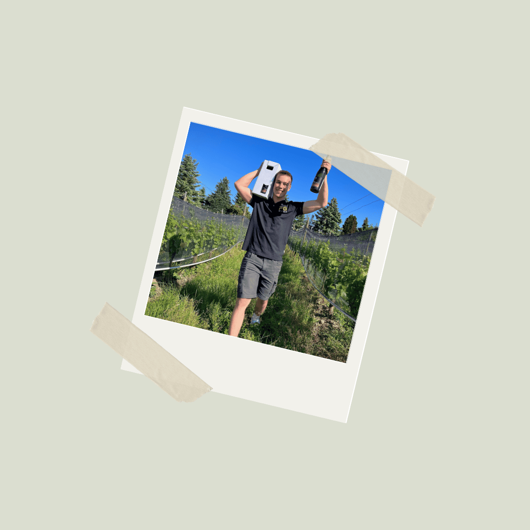 Bioweingut, Bodenseewein, Wein vom Bodensee, Weißwein vom Bodensee