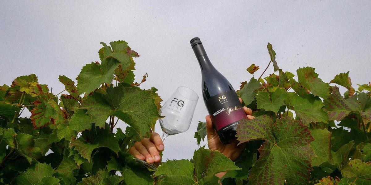 Bodenseewein, Weinbau am Bodensee, Wein vom Bodensee, Rotwein vom Bodensee