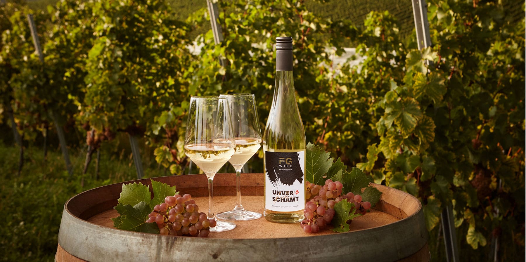 Bodenseewein, Weinbau am Bodensee, Wein vom Bodensee, Weißwein vom Bodensee