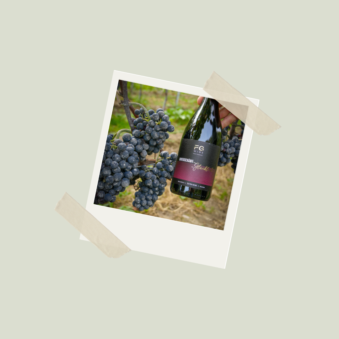 Bodensee Wein, Bio Weingut, Biowein, Bodenseewein, Bio Wein